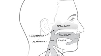 Airway Card