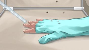 An illustration of a gloved hand covered by mosquitos.