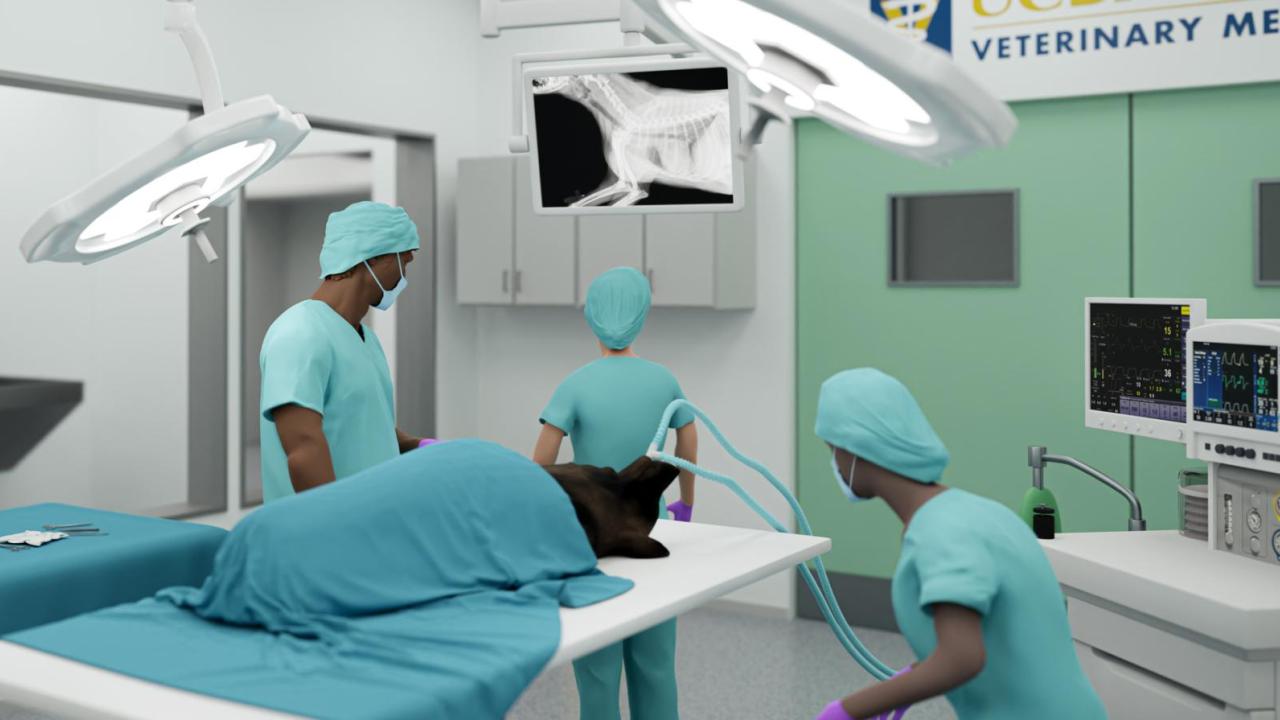 3D rendering of veterinarians in an operating room